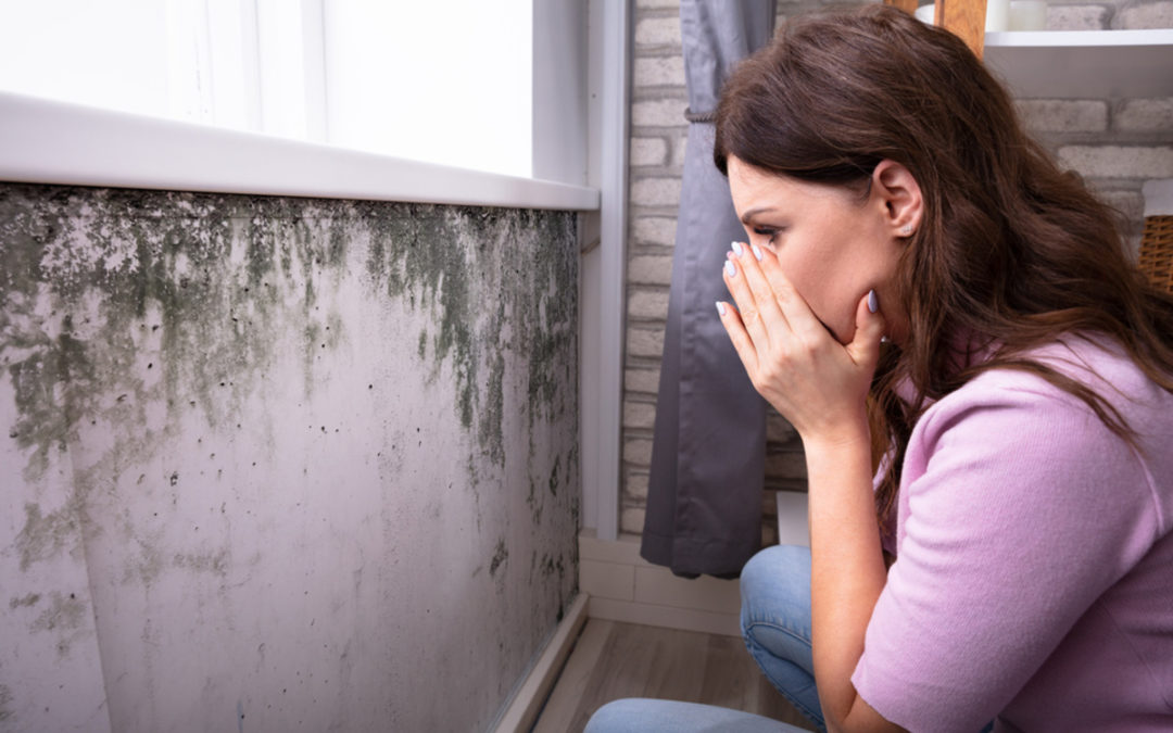 Mold in Home: Know Your Rights as a Tenant