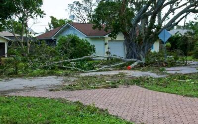 Protect Your Home From Natural Disasters