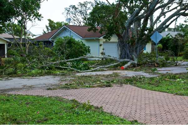 How do I protect my property from a natural disaster?